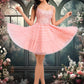 Dania Ball-Gown/Princess Scoop Short Tulle Lace Homecoming Dress With Ruffle DEP0025676