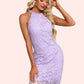 Christina High Neck Elegant Bodycon Lace Mini Dresses DEP0022344