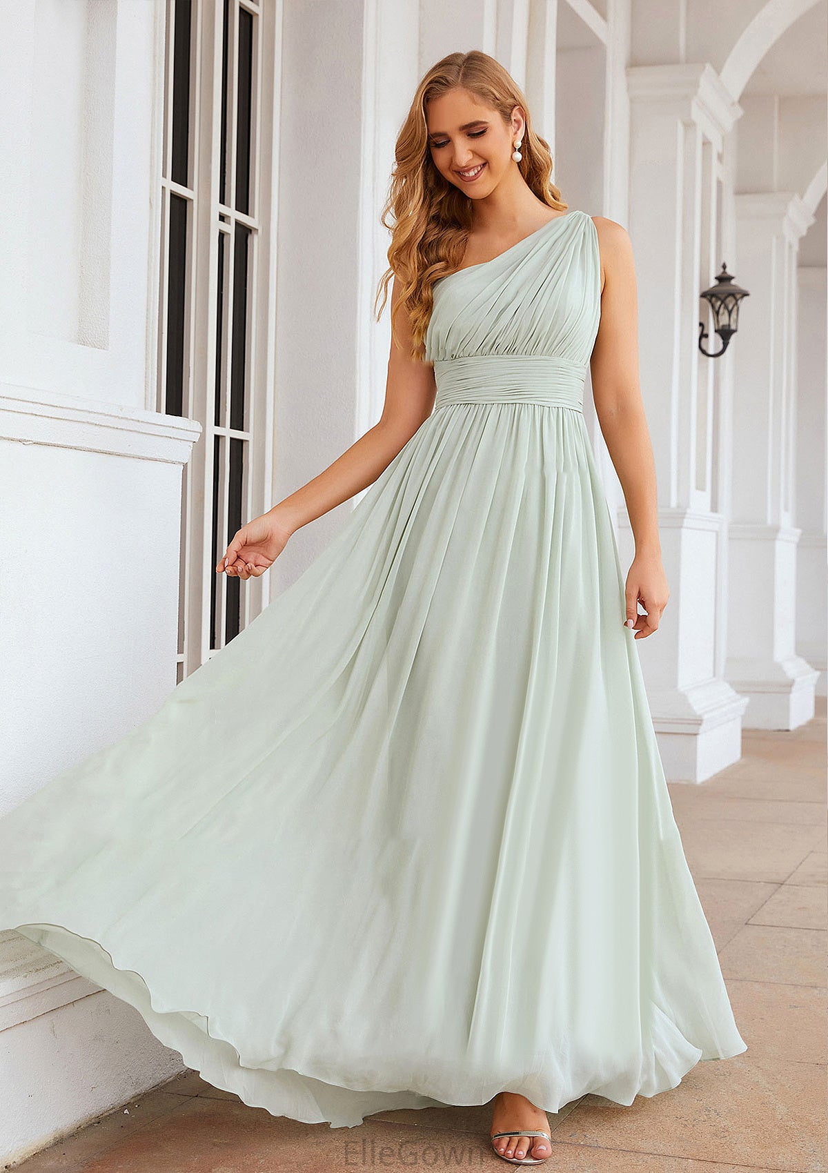 A-line One-Shoulder Sleeveless Chiffon Long/Floor-Length Bridesmaid Dresses With Pleated Anna DEP0025382