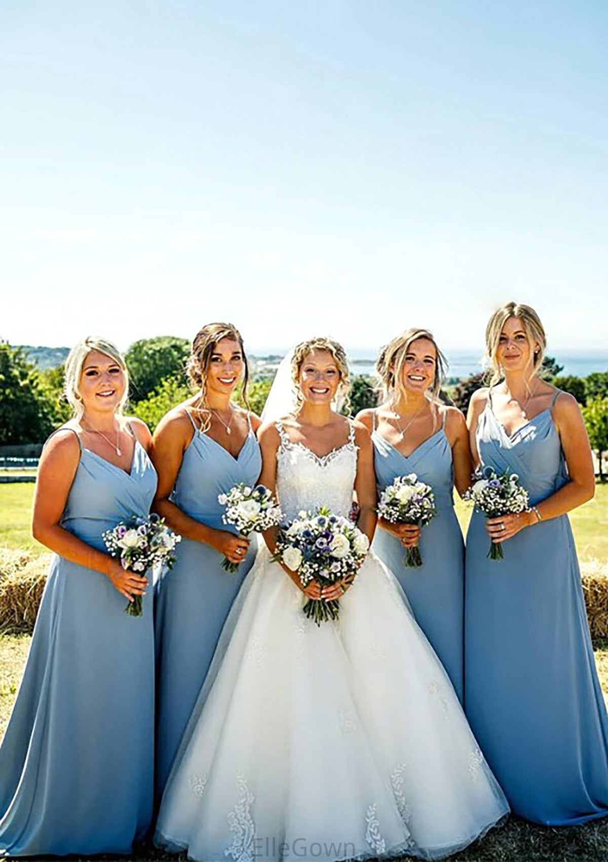 A-line V Neck Sleeveless Court Train Chiffon Bridesmaid Dresses With Pleated Allie DEP0025419