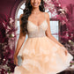 Kenley Ball-Gown/Princess V-Neck Short Tulle Homecoming Dress With Beading Sequins DEP0025646