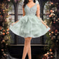 Brooklynn Ball-Gown/Princess V-Neck Short Tulle Lace Homecoming Dress DEP0025671