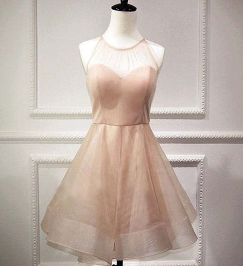 A-Line Aryanna Homecoming Dresses Pink Jewel Pearl Organza Bowknot Short 2024 With Open Back