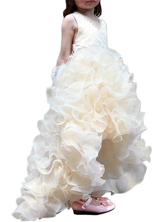 A-line/Princess V-neck Sleeveless Asymmetrical Organza Ruffles Flower Girl Dresses DEP0007808